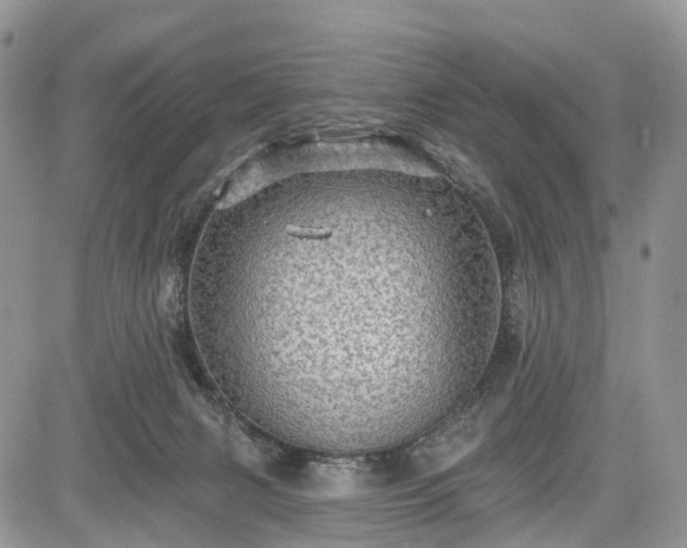 X0000085260079200703161415