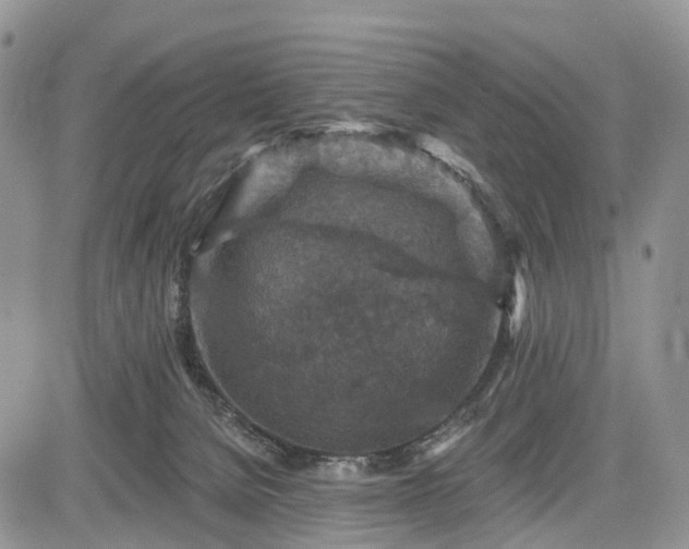 X0000085260080200703161415