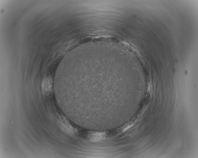 X0000085260081200703161415