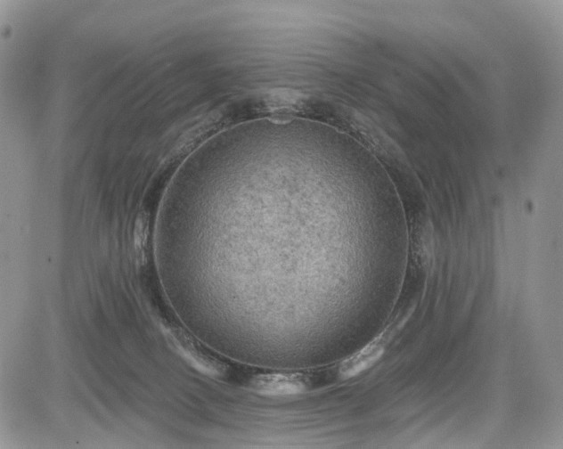 X0000085260082200703161415