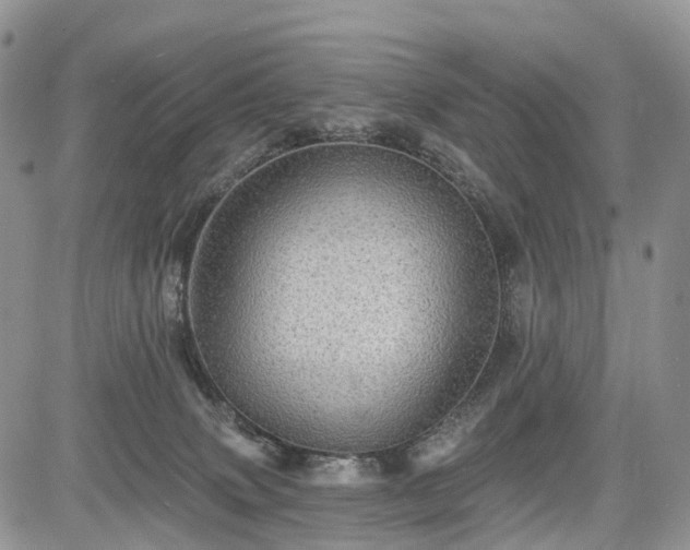 X0000085260083200703161415