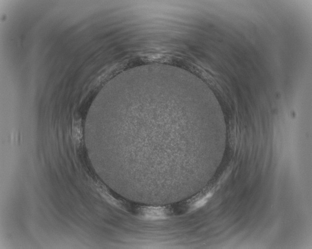 X0000085260085200703161415