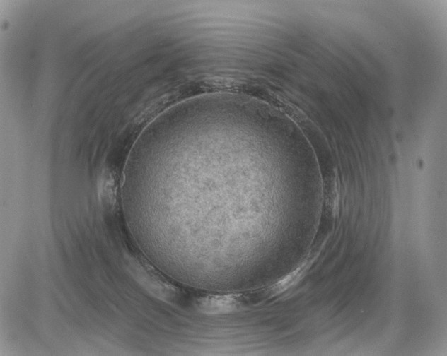 X0000085260086200703161415