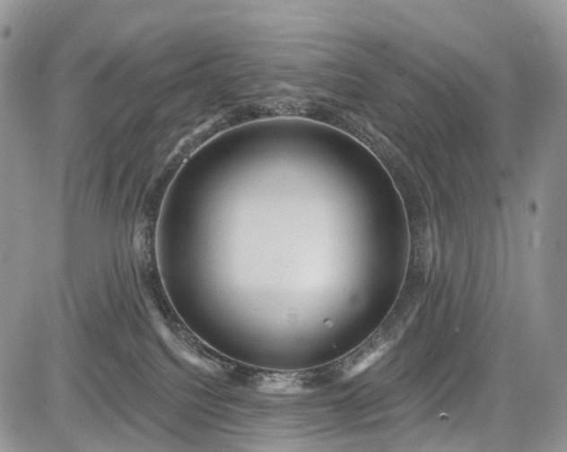 X0000085260088200703161415