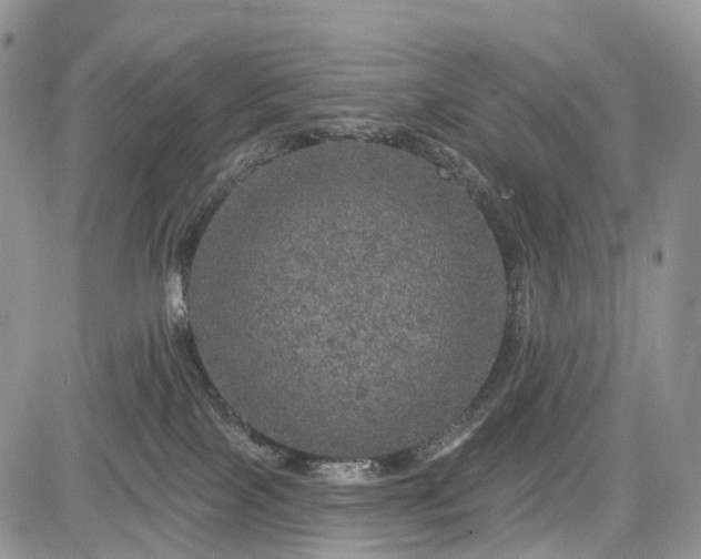 X0000085260089200703161415