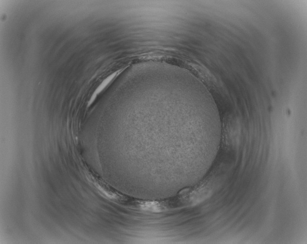 X0000085260091200703161415