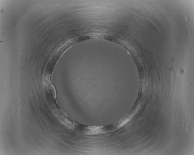 X0000085260093200703161415