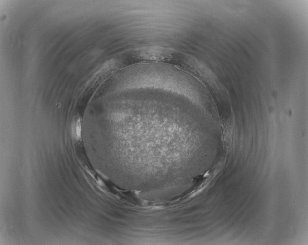 X0000085260095200703161415