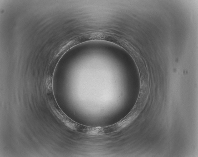 X0000085260096200703161415