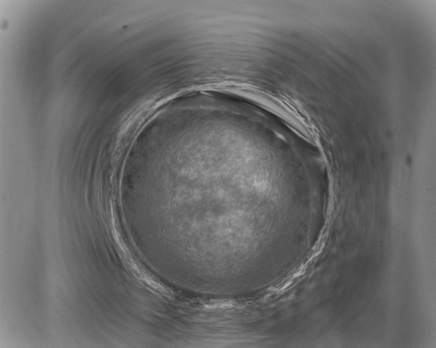 X0000085260097200703161414