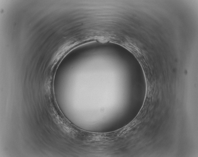 X0000085260098200703161414