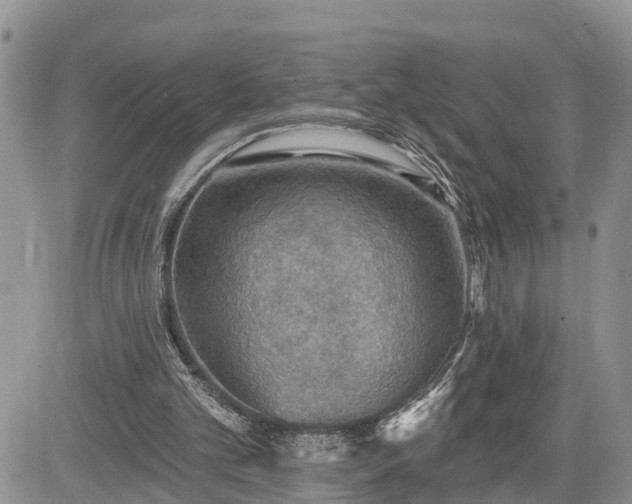 X0000085260101200703161414