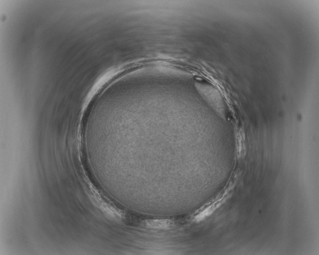 X0000085260102200703161414