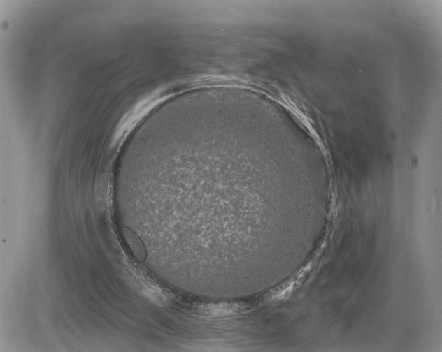 X0000085260103200703161414