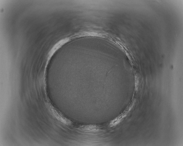 X0000085260104200703161414