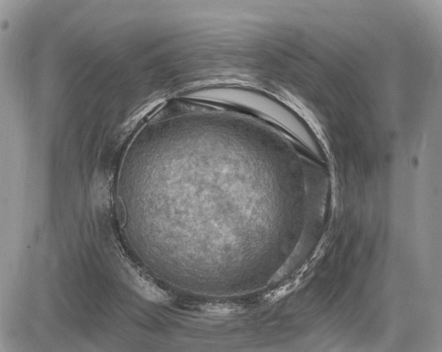 X0000085260105200703161414