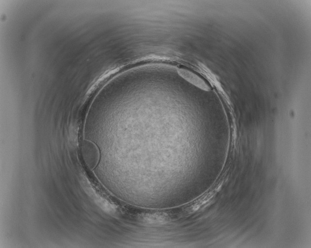 X0000085260106200703161414