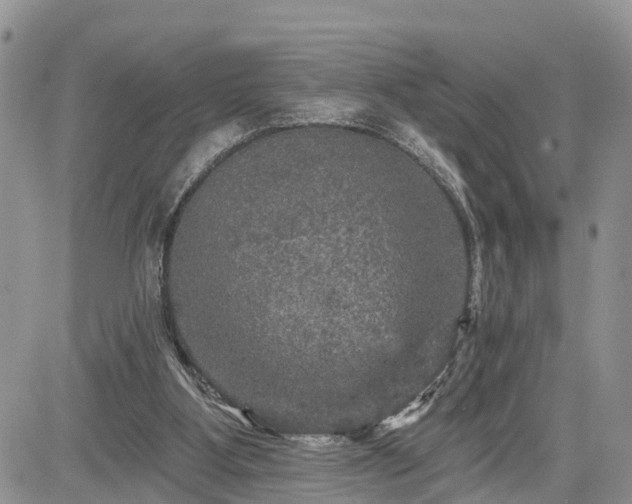 X0000085260107200703161414