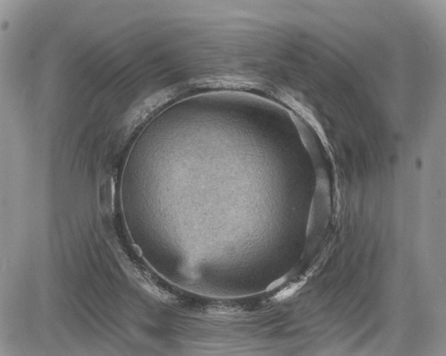 X0000085260109200703161414