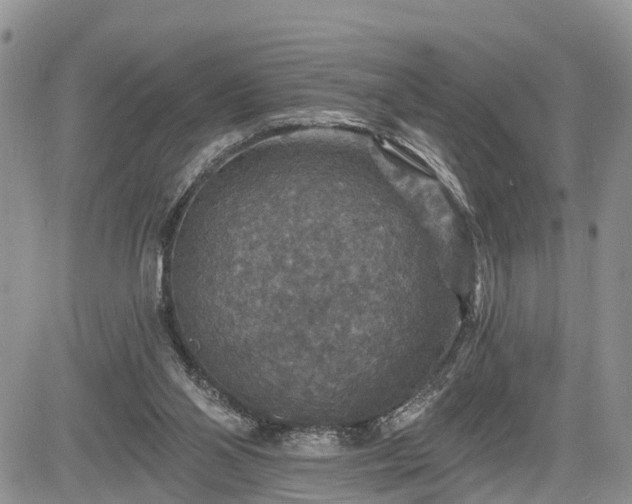 X0000085260110200703161414