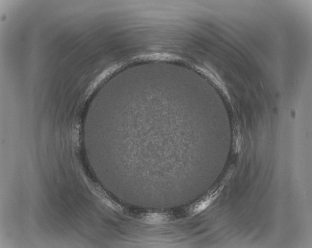 X0000085260111200703161414