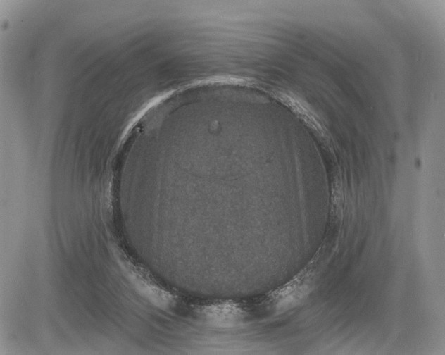 X0000085260112200703161414