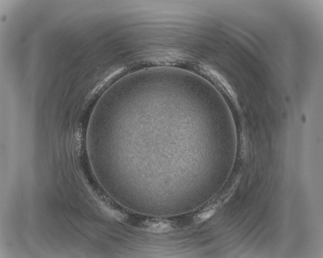 X0000085260113200703161414