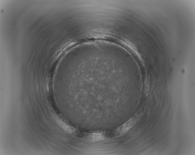 X0000085260114200703161414