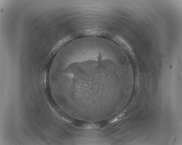 X0000085260115200703161414