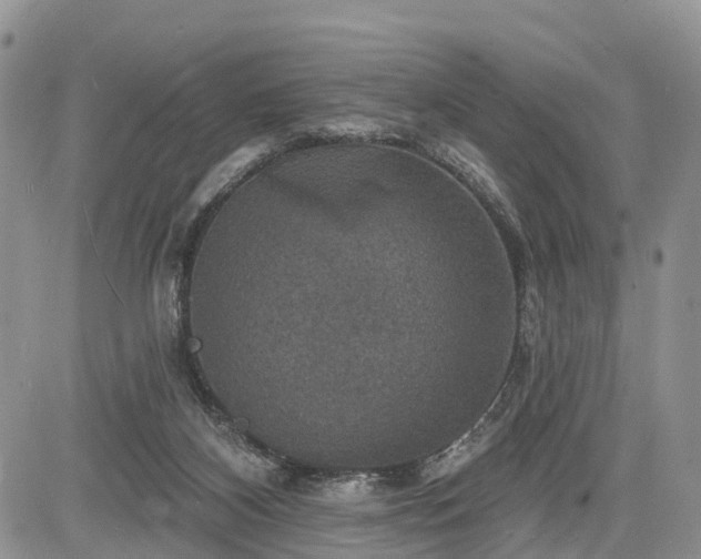 X0000085260116200703161414