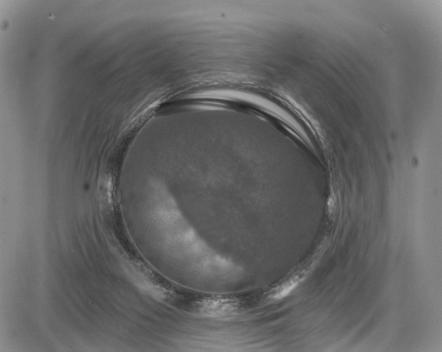 X0000085260117200703161414