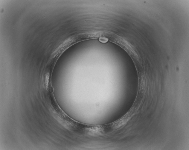 X0000085260118200703161414