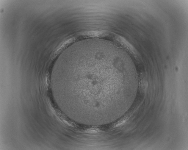 X0000085260119200703161414