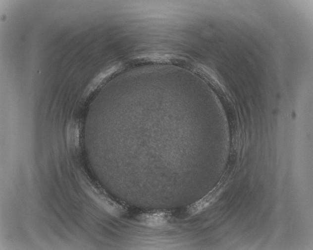 X0000085260120200703161414