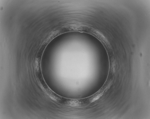 X0000085260121200703161414