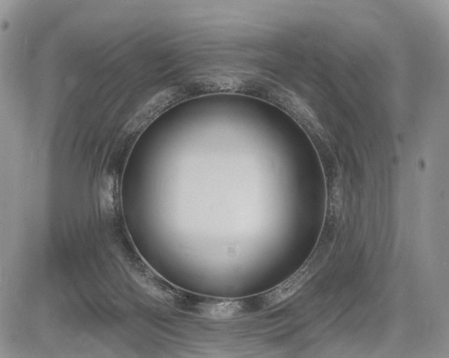 X0000085260122200703161414