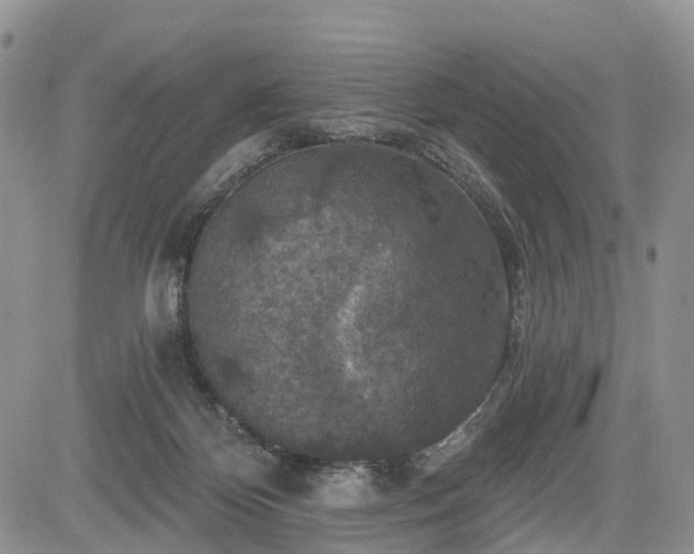 X0000085260124200703161414