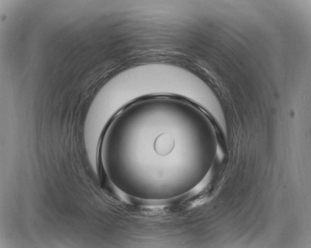 X0000085260125200703161414