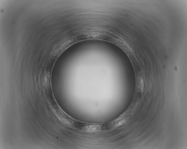 X0000085260126200703161414