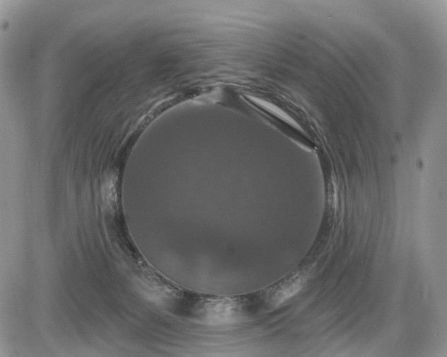 X0000085260127200703161414