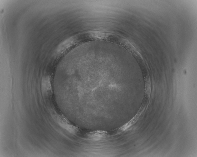 X0000085260128200703161414