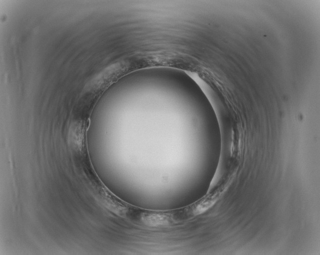 X0000085260129200703161414