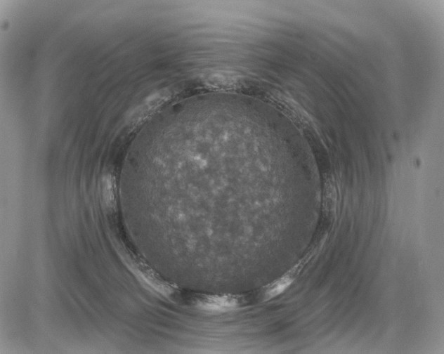 X0000085260130200703161414