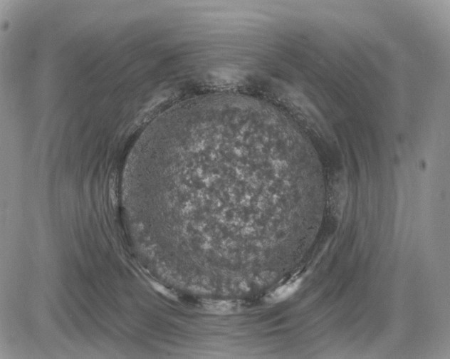 X0000085260131200703161414