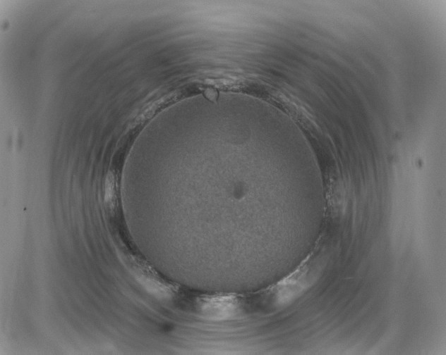 X0000085260132200703161414