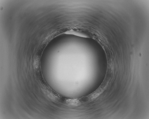 X0000085260133200703161414