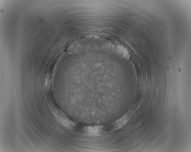 X0000085260134200703161414