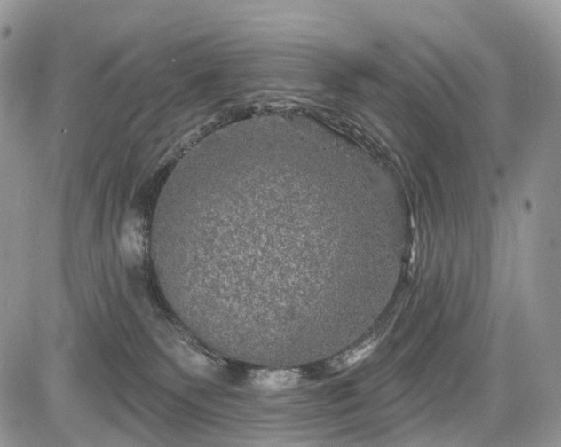 X0000085260135200703161414