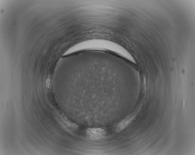 X0000085260137200703161414