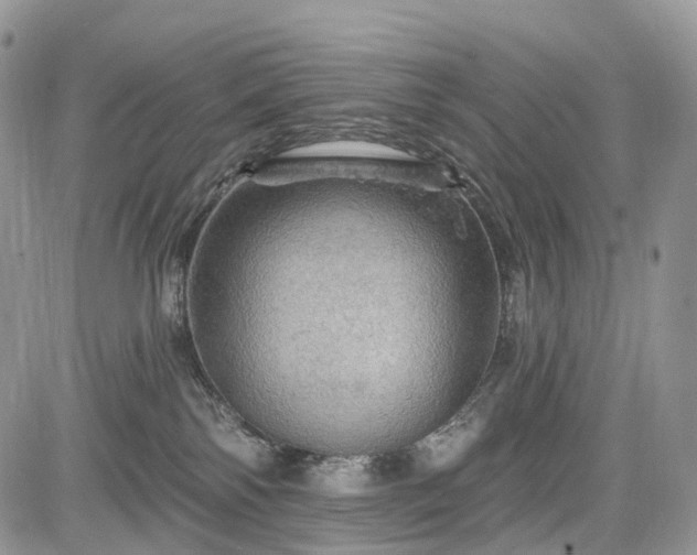 X0000085260138200703161414